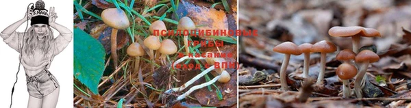 дживик Горнозаводск