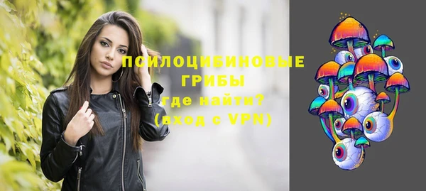 дживик Горнозаводск