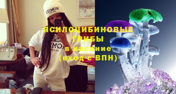 дживик Горнозаводск
