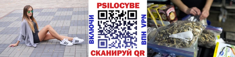 Галлюциногенные грибы Cubensis  Купить где  Кстово 